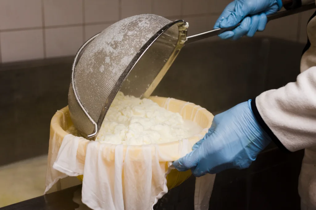 leite transformado em massa para fabricacao de queijo.