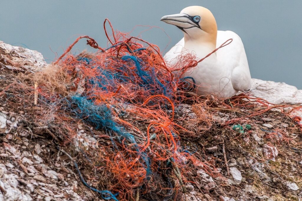 ave marinha posada em cima de um monte de lixo plástico.