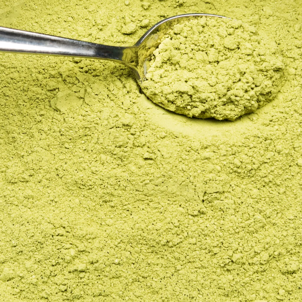 moringa em pó numa colher.