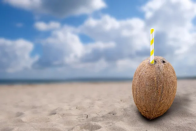 Variedade de bebidas para hidratação durante exercícios: água, bebidas esportivas e água de coco