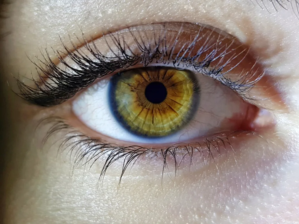 close de um belo olho verde.