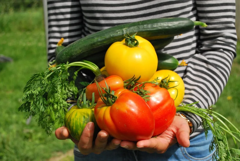 Uma pessoa segurando diversos vegetais na palma das maos.