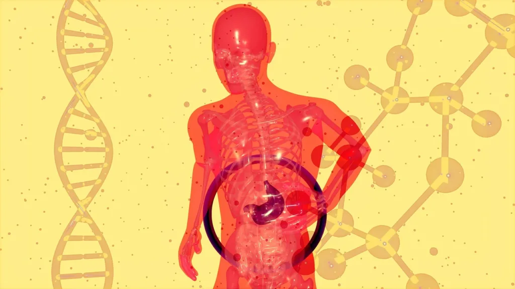 RX de um ser humano ilustrando o sistema digestivo.