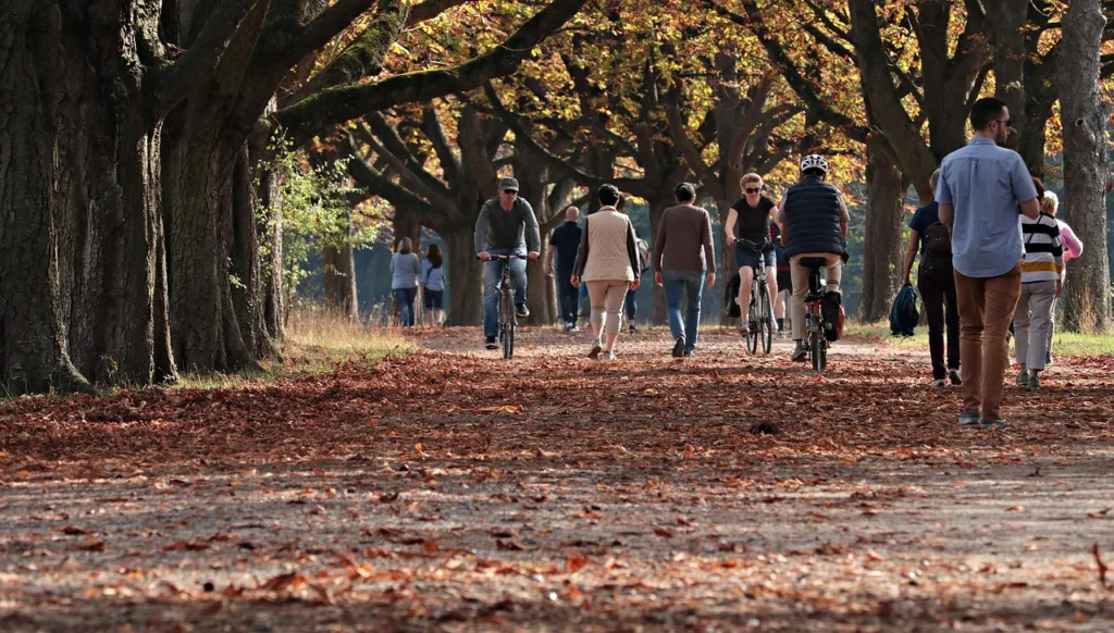 pessoas caminhando em um parque.