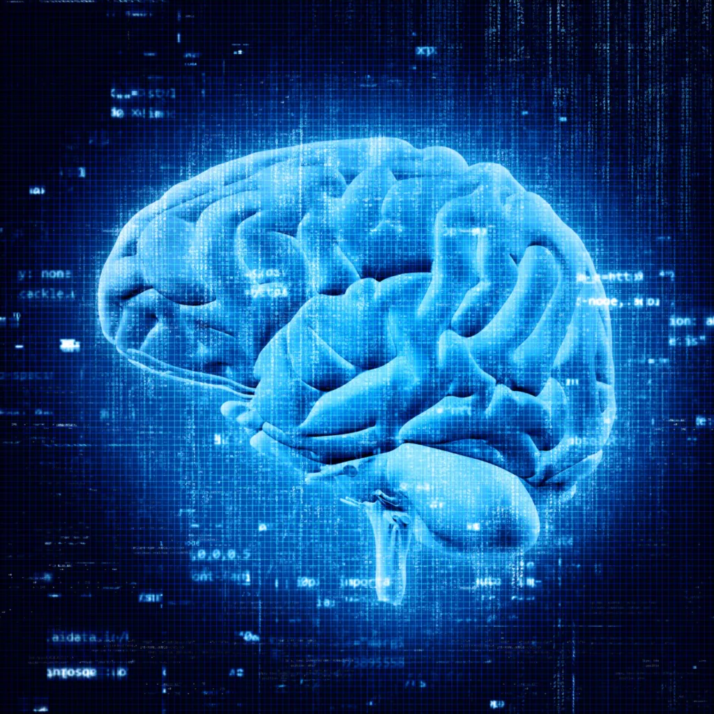 imagem digital de um cérebro.
