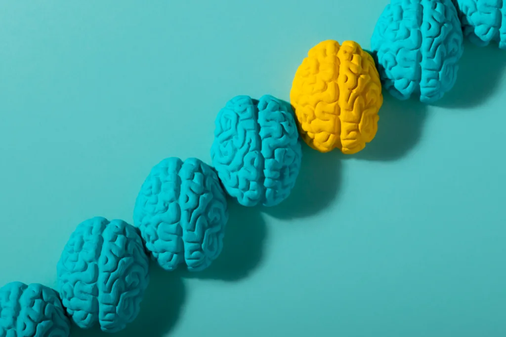 figura de 4 cerebros em linha  com o primeiro de cor diferente.