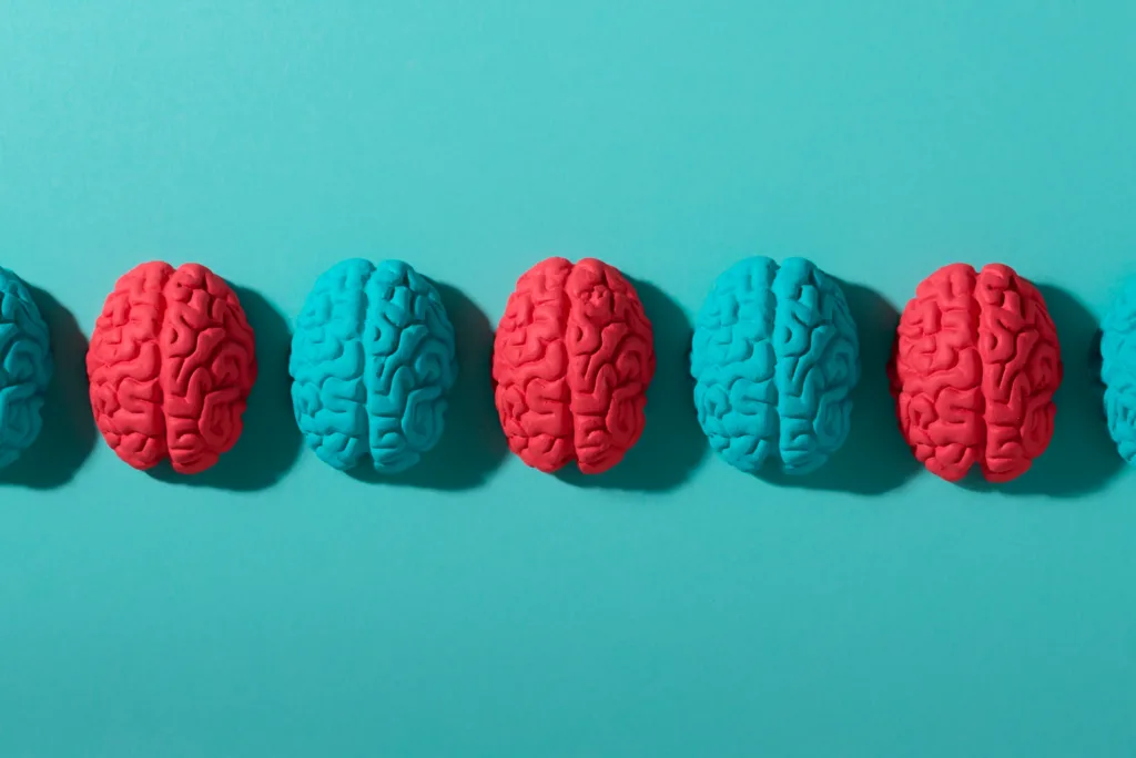 cerebros lado a lado de cor diferente.